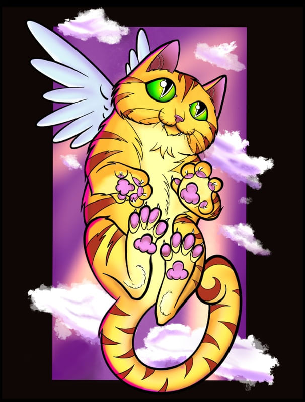 GATO ANJO