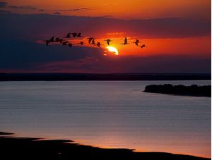 URUGUAIANA_RIO URUGUAI_02