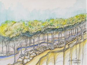 CICATRIZ DA NATUREZA