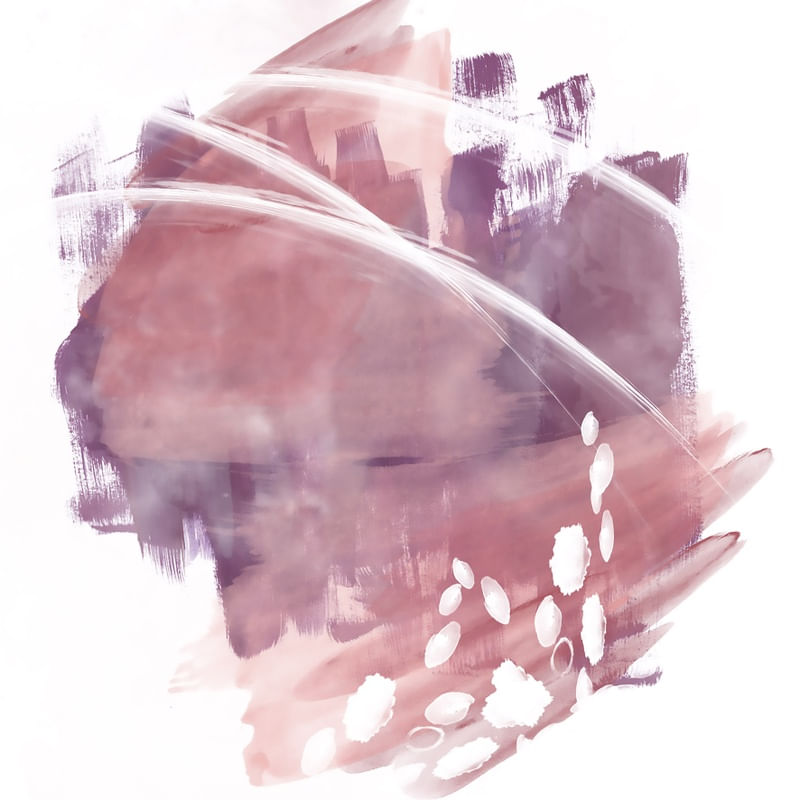 ABSTRATTO SALMON