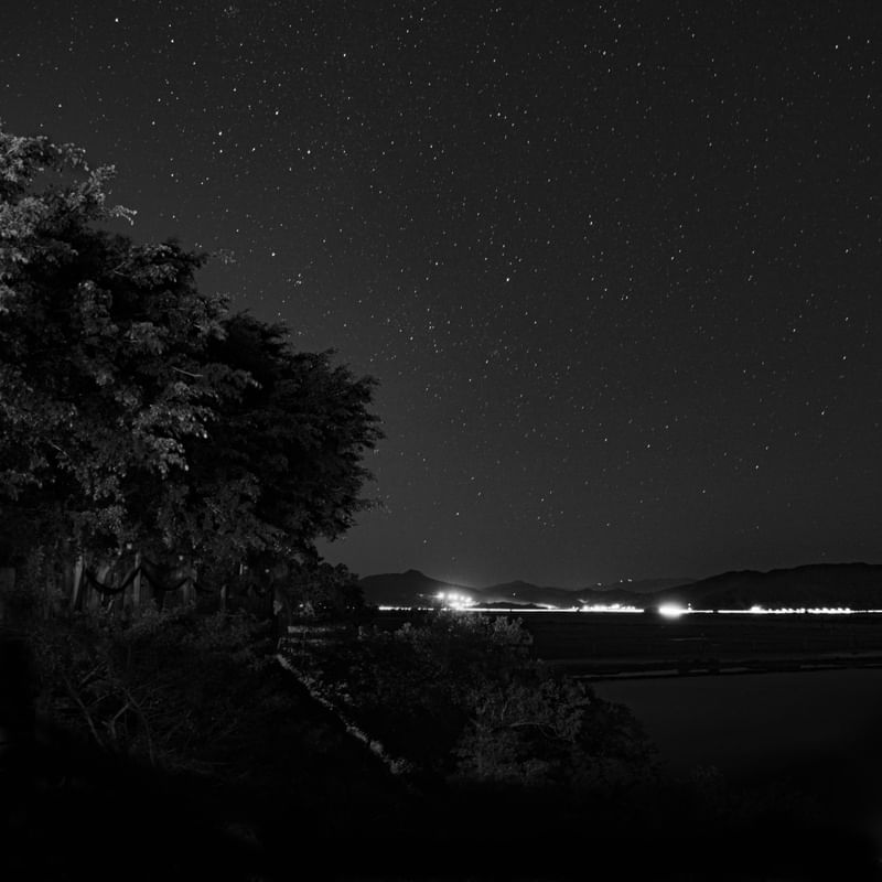 LANDSCAPE BLACK IN BRAZIL