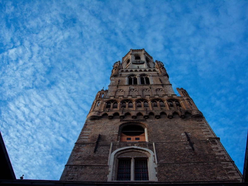 BELGICA4