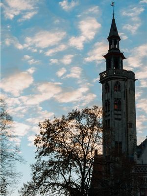 BELGICA23