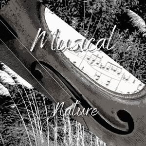 MUSICAL NATURE