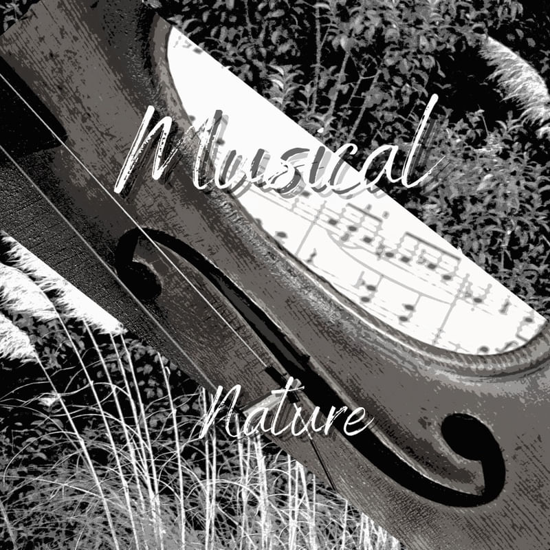 MUSICAL NATURE