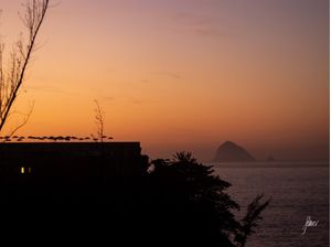 STAY GOLD BY PATRICIA ALVES