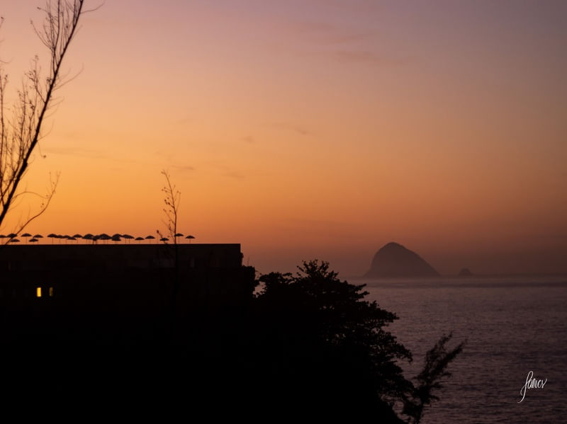STAY GOLD BY PATRICIA ALVES