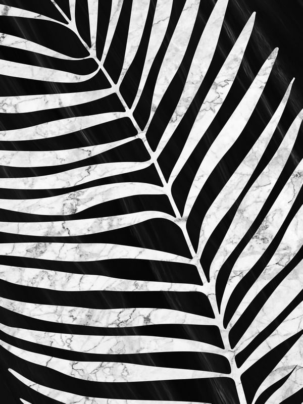 PALM TREE II
