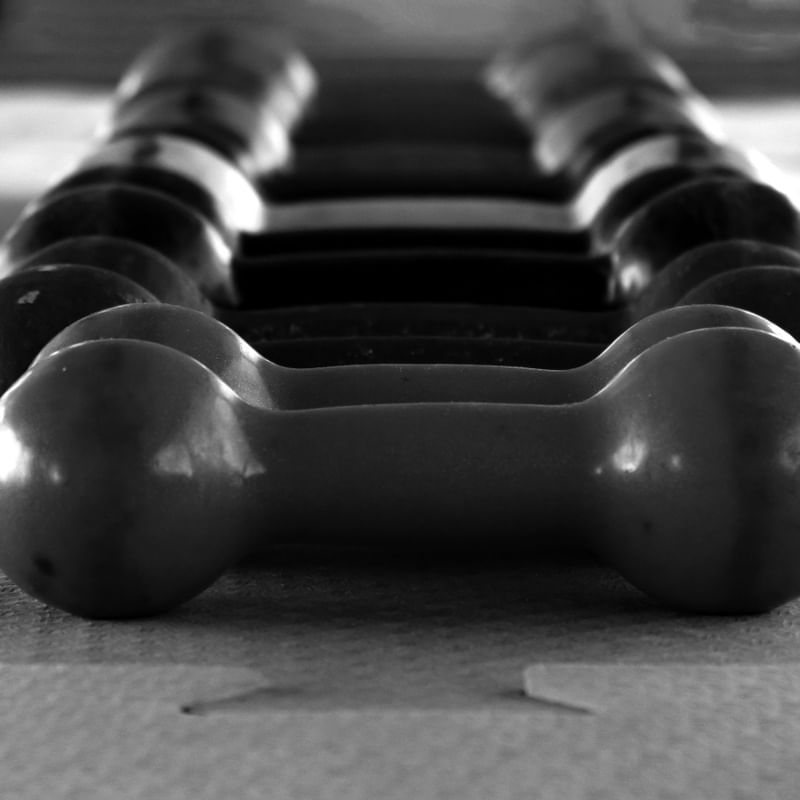 MUSCULAÇÃO 14 UA