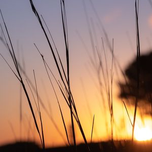 O SOL DE CAMBARÁ 2