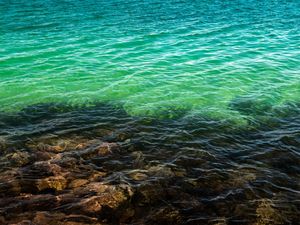EMERALD TEXTURE