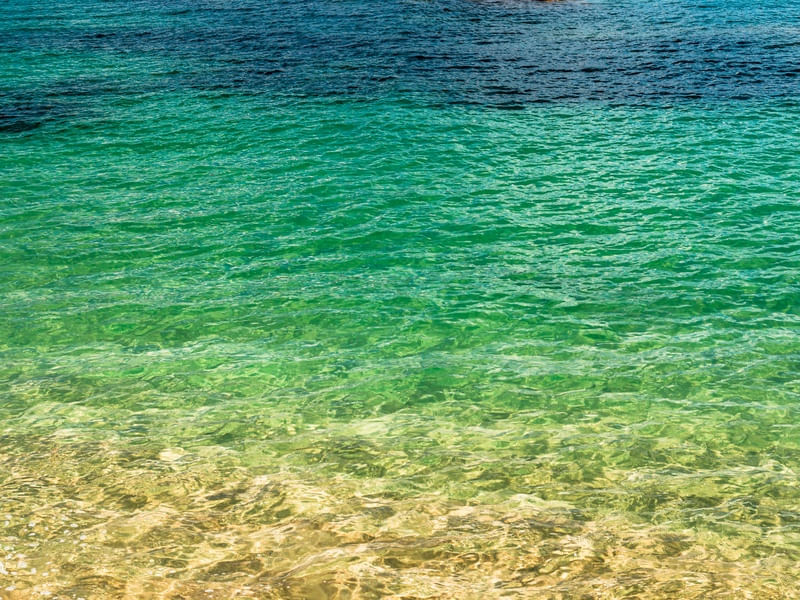 BRAZILIAN OCEAN