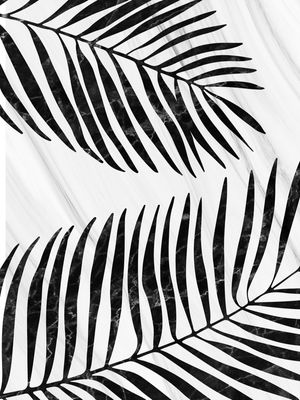 PALM TREE XIII