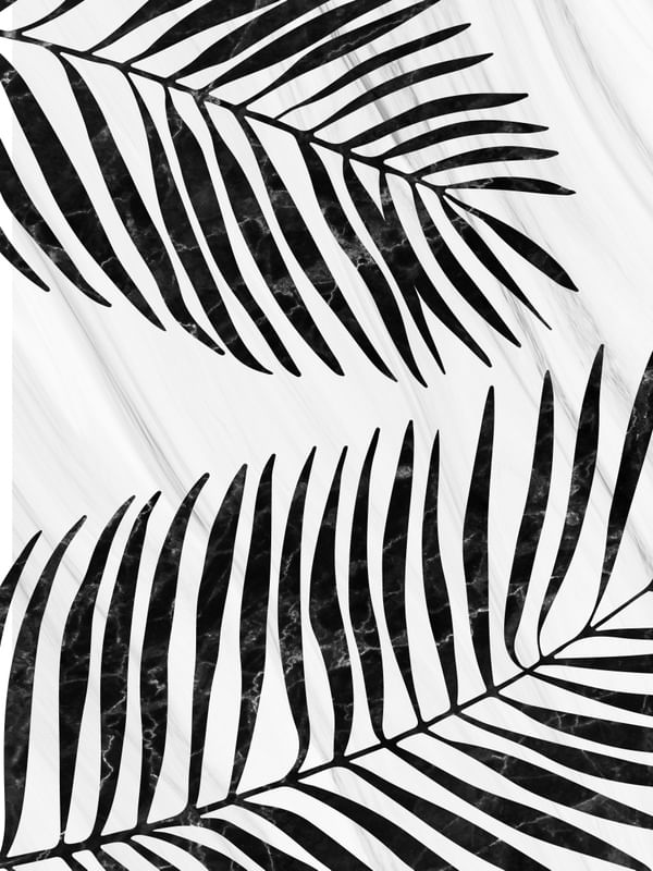 PALM TREE XIII