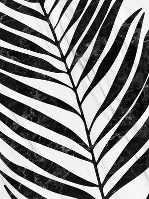 PALM TREE XVII