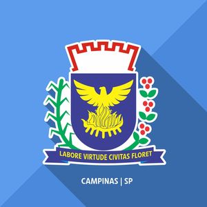 BRASÃO MINIMALISTA DE CAMPINAS SP POR LIMA DO NASCIMENTO