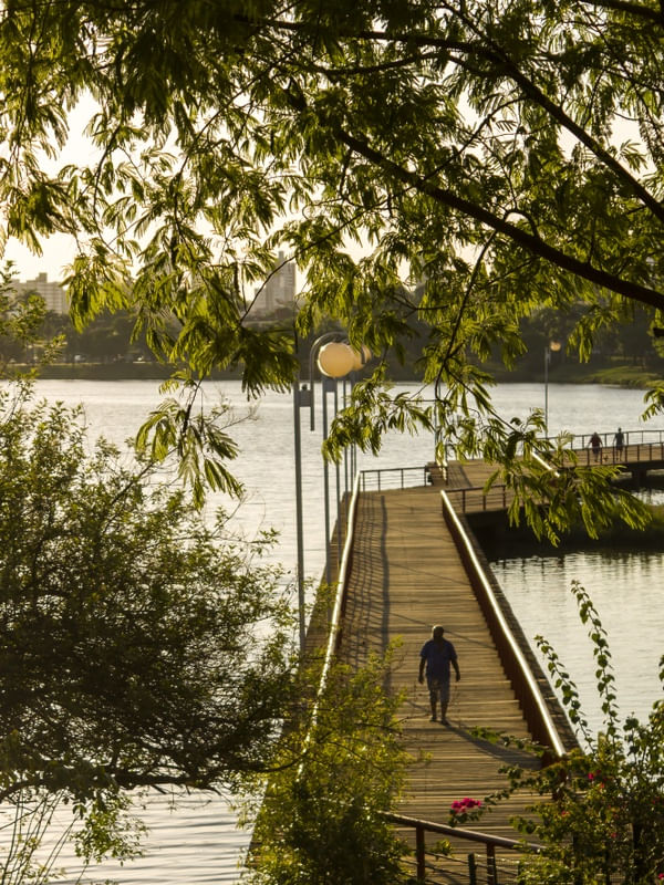 A CALMA DE UMA CAMINHADA EM CONTATO COM A NATUREZA