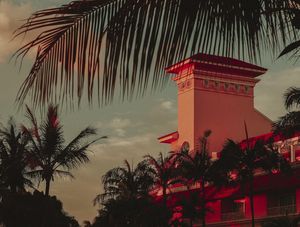 TERRA DOS SONHOS