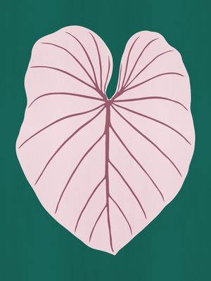 LEAF 02
