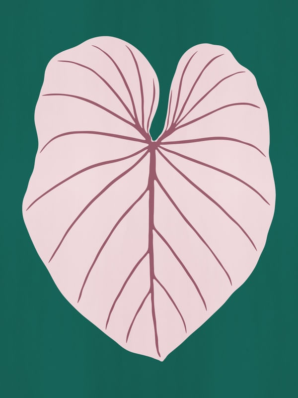 LEAF 02