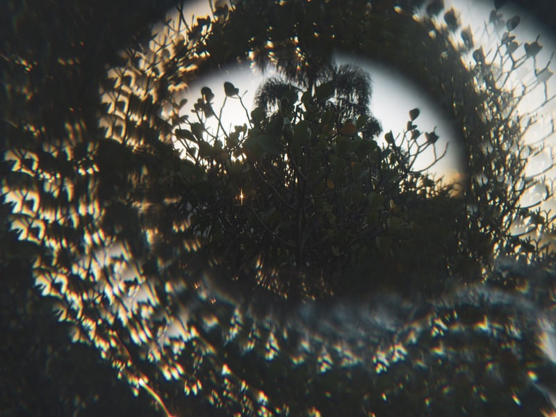 THROUGH THE LOOKING GLASS (1)