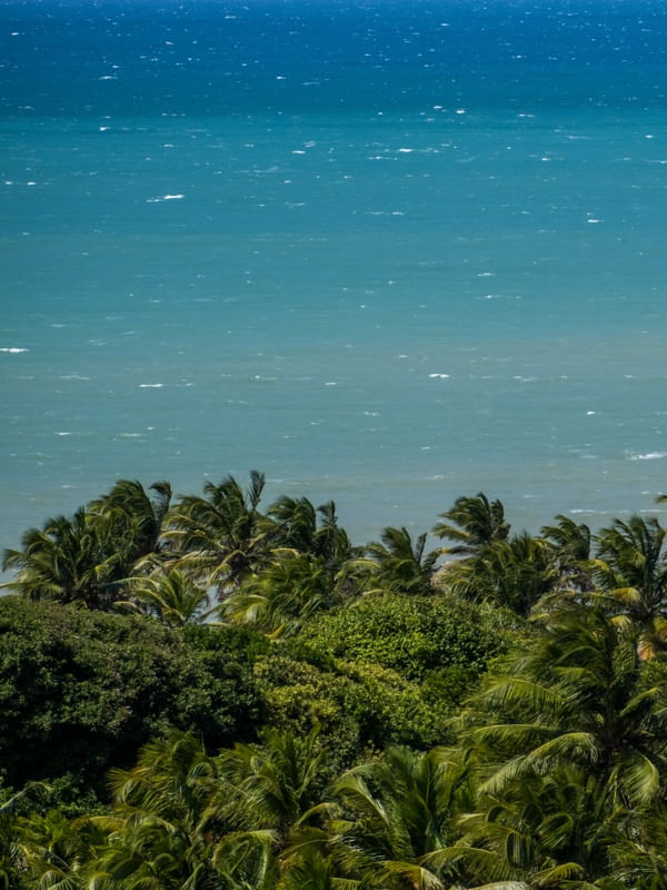 O MAR O O COQUEIRAL_01