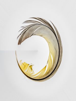 PENA CIRCULAR