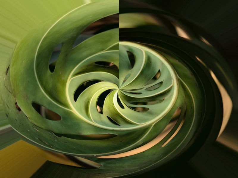 GEOMETRIA NATURAL_EM