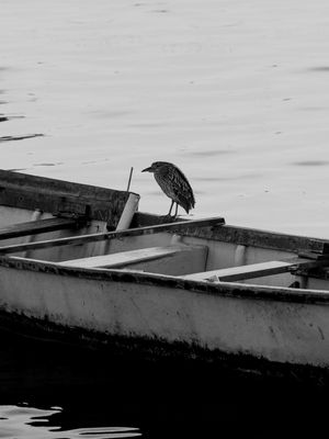 A PAZ DA SOLIDÃO DO MAR