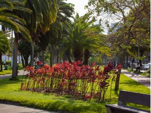 JARDIM DE SANTOS