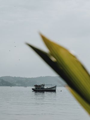 FOLHA E MAR