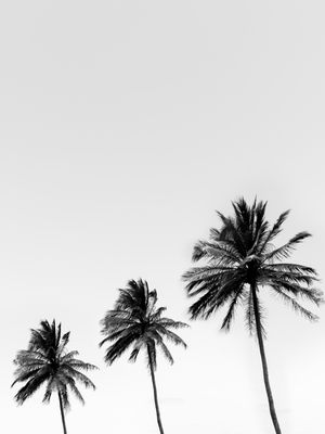 TAMANHOS