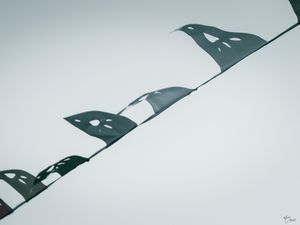 WIND BLOW