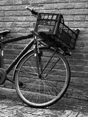 BICICLETA 11 UA