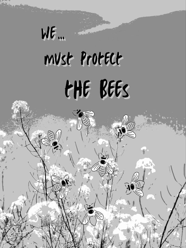 WE MUST PROTECT THE BEES