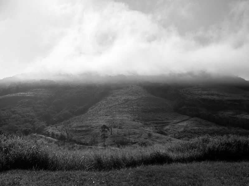 FOG MOUNTAIN