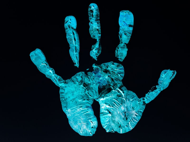 HAND THAT GIVES