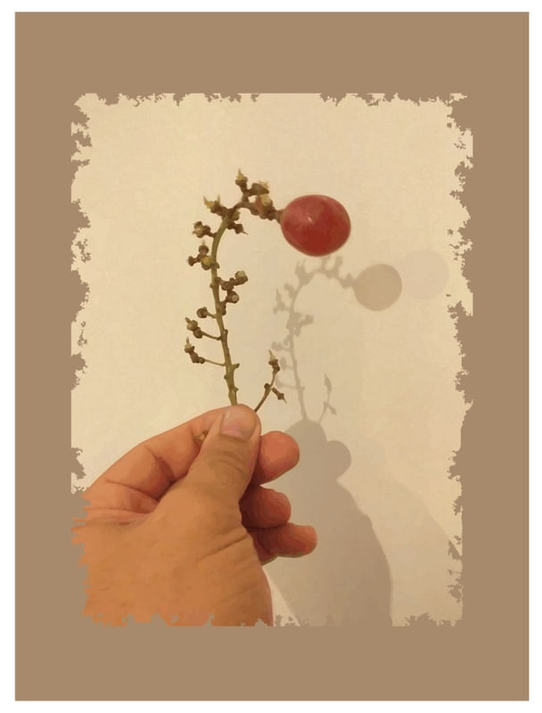 FRUTAFLOR