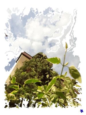 DUJARDINIII
