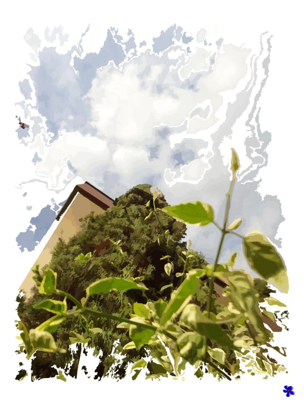 DUJARDINIII