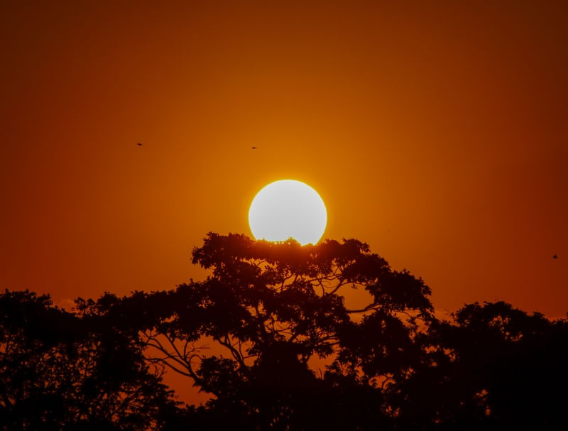 LINDÍSSIMO PÔR DO SOL NA BEIRA DO RIO