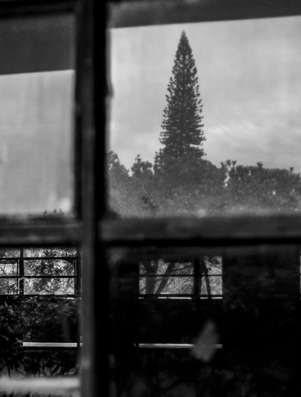 REFLEXO NA JANELA