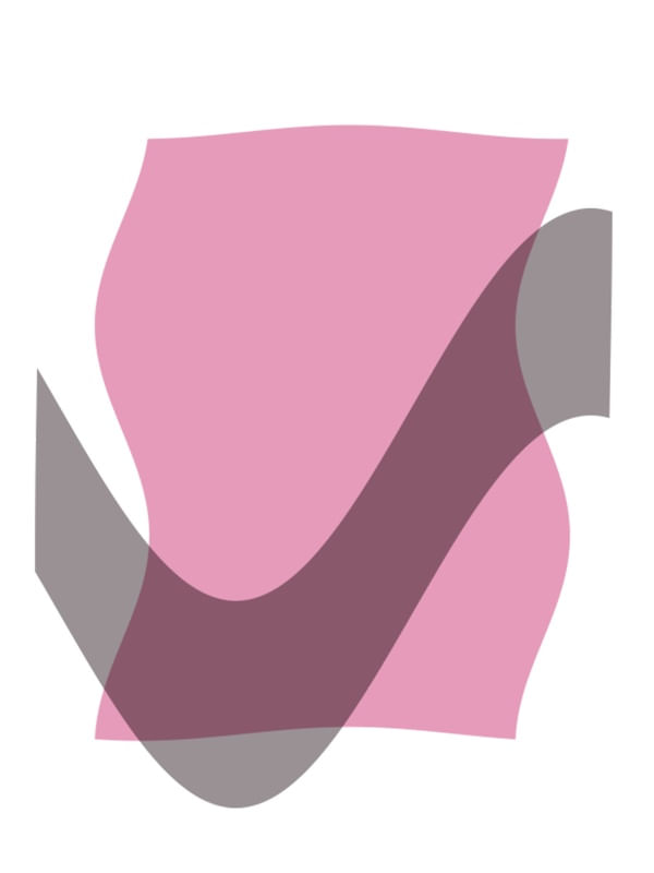 PINK ELEPHANT