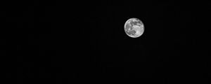 DUTCH MOON 1