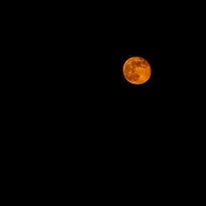 DUTCH MOON 3