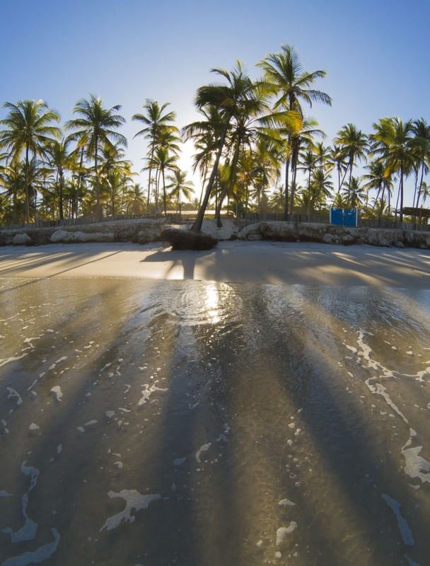 PRAIA COQUEIROS SUNSET II