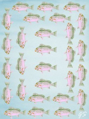 PEIXES COLAGEM