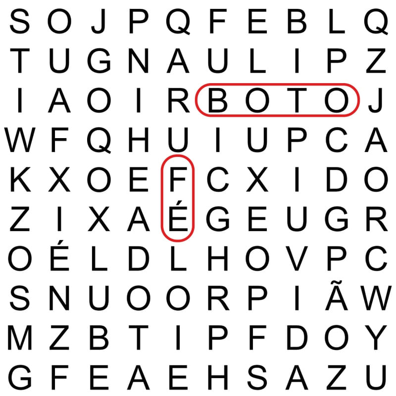 BOTO FÉ