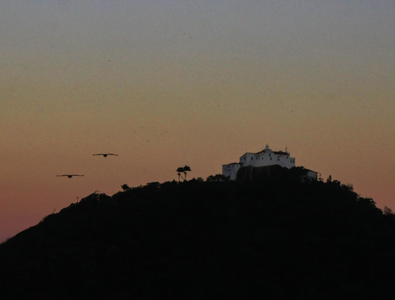 PÁSSAROS RODEANDO O CONVENTO DA PENHA AO ENTARDECER