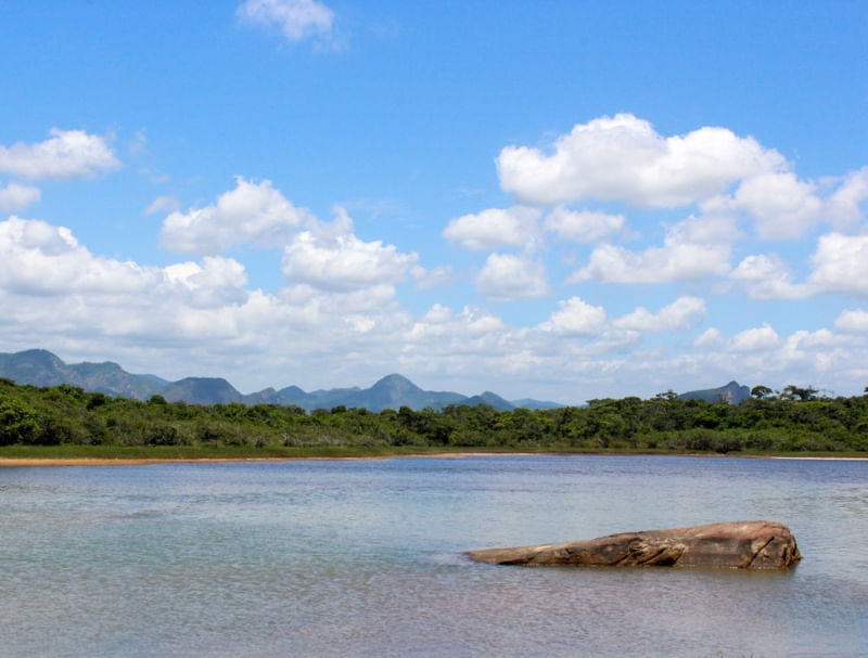 LINDA PAISAGEM DE UMA LAGOA NO ESPÍRITO SANTO